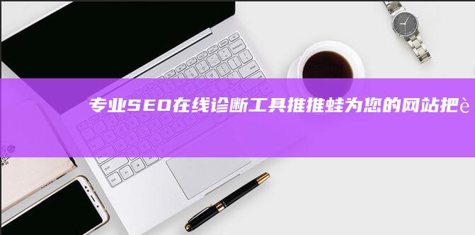 专业SEO在线诊断工具：推推蛙为您的网站把脉优化